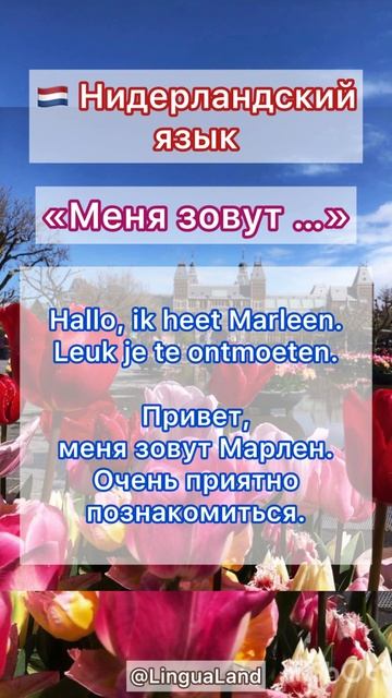 🇳🇱 Нидерландский язык «Меня зовут…"