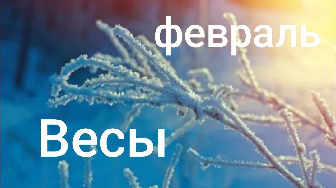 Таро расклад для Весов на февраль 2026 года смотреть онлайн