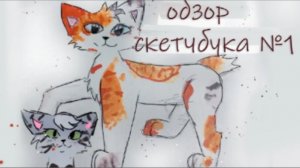 Первый обзор скетчбука! #кв #котывоители