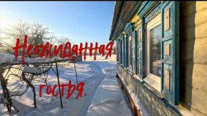 Неожиданная гостья.