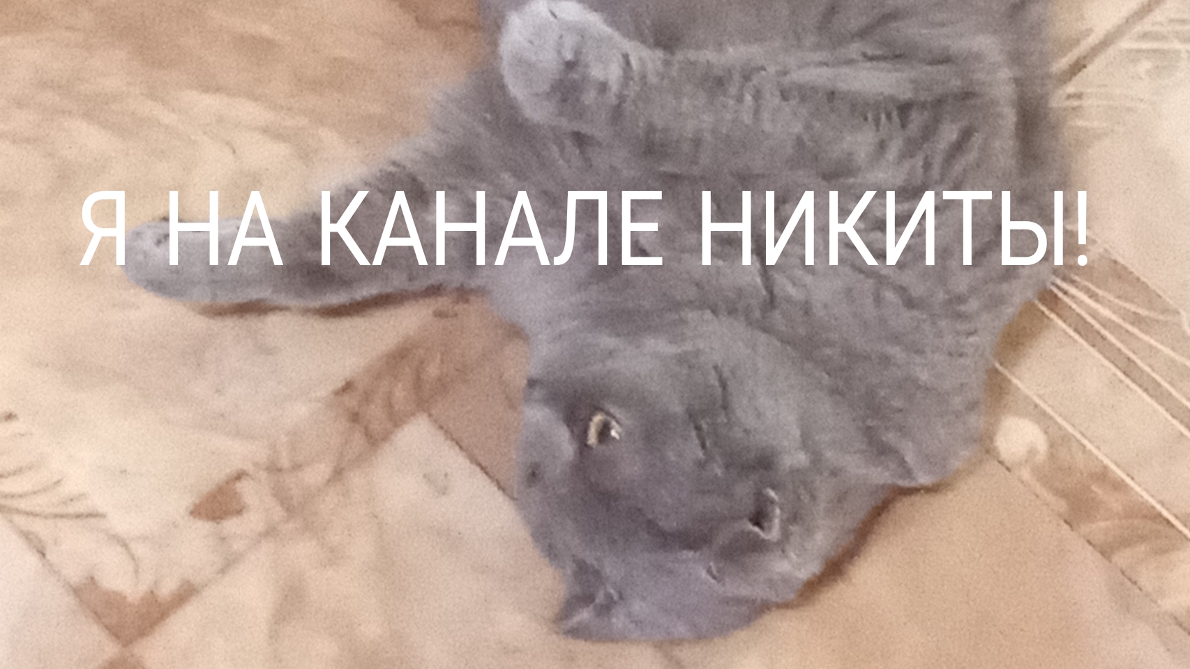 Я ПУСЯ И Я НА КАНАЛЕ НИКИТЫ!