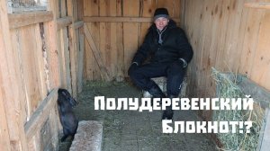 Первые результаты утепления дома и казус с кроликами!