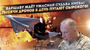 Польше грозит такой же ужас, как и Украине! Сырский испугался – «тысячи дронов в день»!