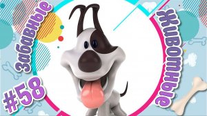 Забавные и Смешные Животные № 58 + Лучшие Подборки Животных + Смешные и Прикольные Животные