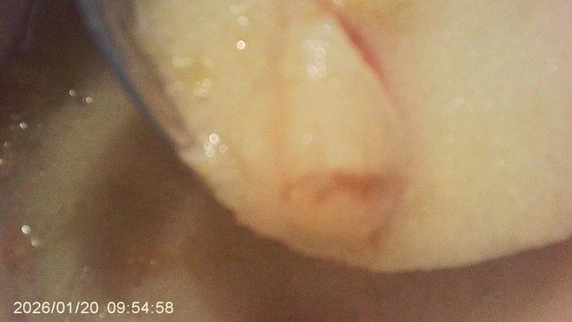 Приготовил на завтрак семье родителей манную кашу с тыквой и яблоком