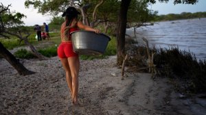 Приготовили рис с креветками по деревенски. Настоящая жизнь в Колумбии