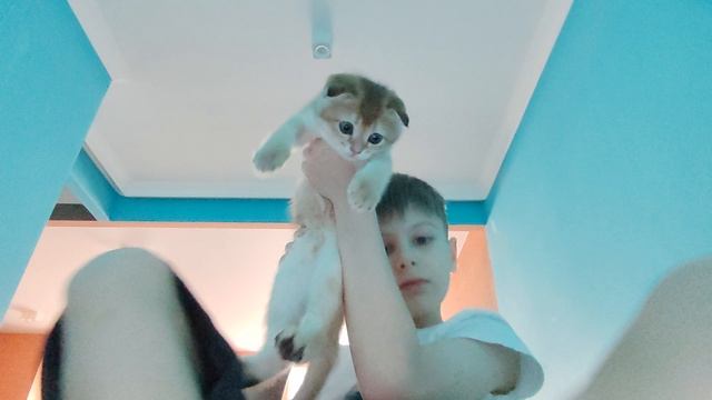 Я ухожу с рутуба... смотреть онлайн