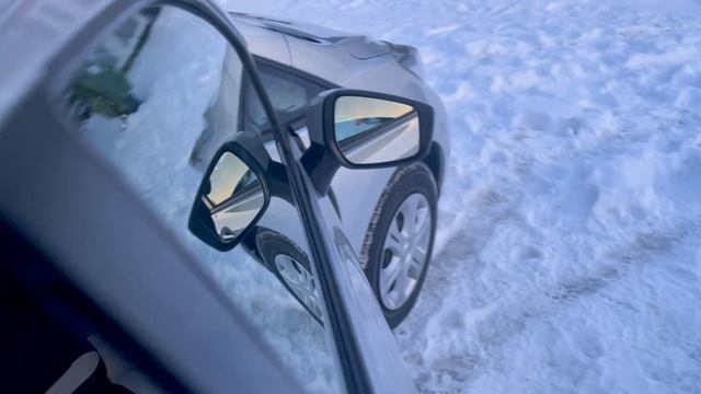 Исчезающий вид, из-за утиля!