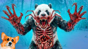 Zoochosis ПАНДА в РЕАЛЬНОЙ ЖИЗНИ! МАРСИК ВЕРНУЛ СВОЮ ПАМЯТЬ!