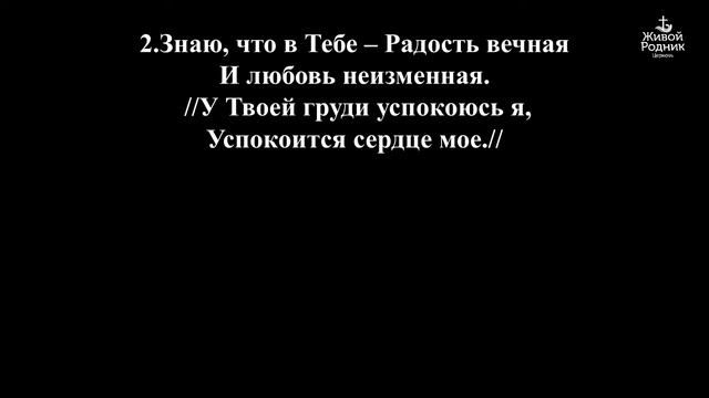 Ты-мой Бог Святой, я к Тебе стремлюсь смотреть онлайн