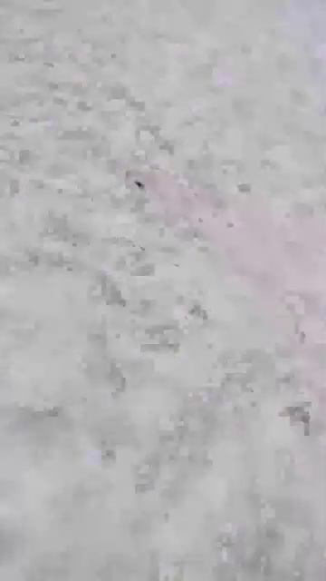 Проходим в бункер