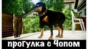 ГТА 5 прогулка с Чопом