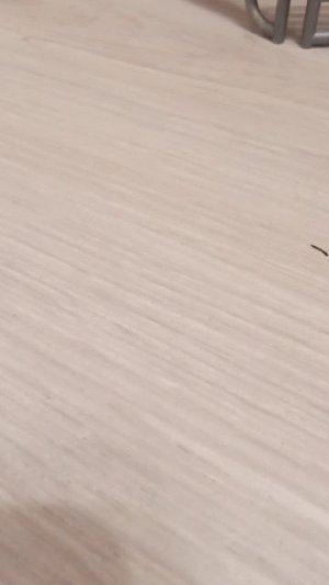 уборка на конюшне лошадей schleich