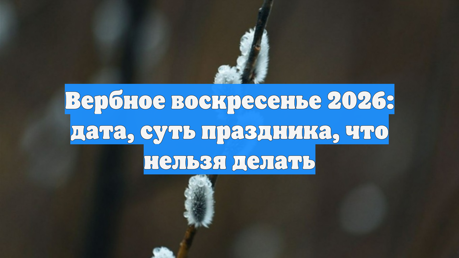 Верующие хотят знать дату Вербного воскресенья в 2026 году смотреть онлайн