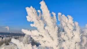 Морозное утро