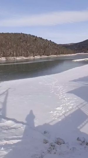 Кипарисовое озеро Сукко 20 января 2026 покрыто льдом. Для огромный стаи уток это не помеха.