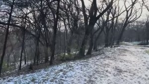 ОДЕССА 20 ЯНВАРЯ 2026. НОВОЕ НАТО БЕЗ США, НО С УКРАИНОЙ! ПР