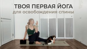 Йога для начинающих: мягкие скручивания и освобождение позвоночника (40 минут)