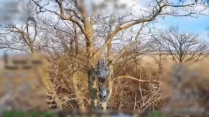 Донбасс. Центр «Рубикон» «щелкает» транспорт, блиндажи, систему связи и БпЛА ВСУ