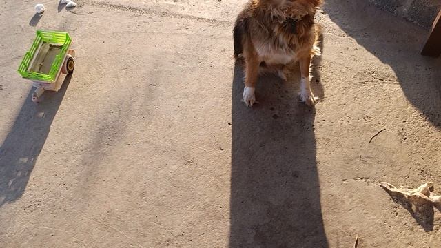 Симбуля и Люся смотреть онлайн