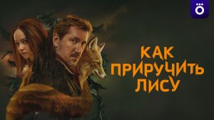 «Как приручить лису»: Сюжет, актеры и дата выхода