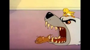 Том и Джерри забавный момент Том оказался в пасти у медведя.