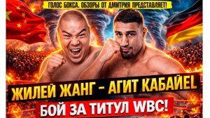 БОЙ ЗА ТИТУЛ В ТЯЖЕЛОМ ВЕСЕ! Обзор боя Жилей Жанг - Агит Кабайел