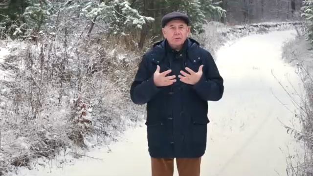 12 Бальзам для позвоночника. Станислав Лосев_ Как избавиться от ярости и дать выход эмоциям смотреть онлайн