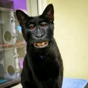 беби кома бей