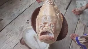 НЕОБЪЯСНИМЫЕ ПРИРОДНЫЕ ЯВЛЕНИЯ