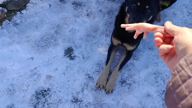 Тиша беги смотреть онлайн