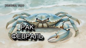 РАК таро прогноз на ФЕВРАЛЬ 2026 [расклад таро] [гадание онлайн]