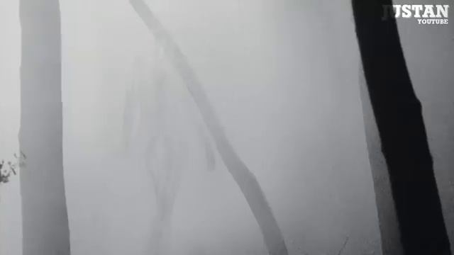 НЛО! Разоблачение! #Салтаненко