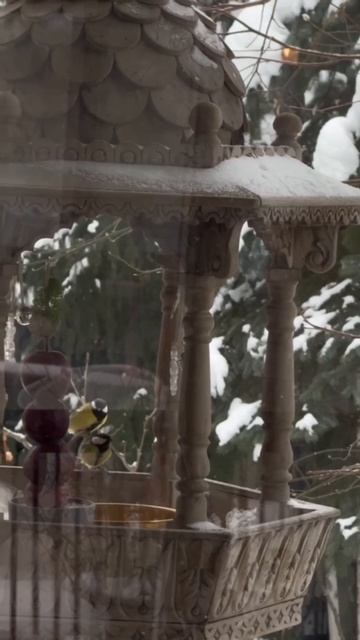 Объявлен слёт всех синиц посёлка по случаю наступления Нового 2026 года! смотреть онлайн