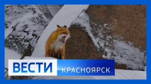 Вести. Красноярск от 19.01.2026