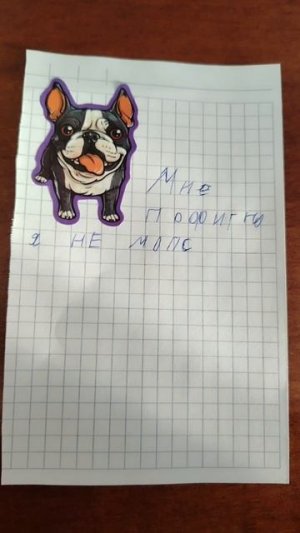 Мне пофиг но я не мопс🐕