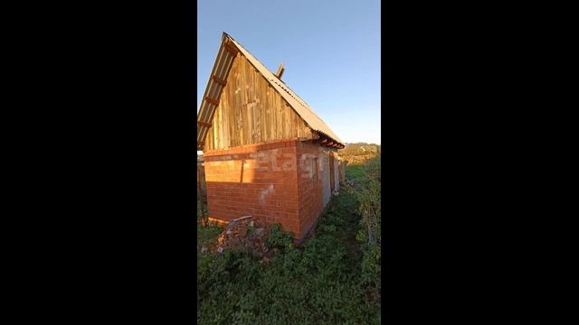 9929091 смотреть онлайн