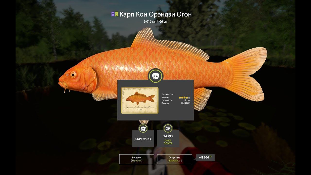 СУПЕР ФАРМ НА МЕДНОМ, ОСЕТР НА АХТУБЕ В РУССКОЙ РЫБАЛКЕ 4 СТРИМ смотреть онлайн