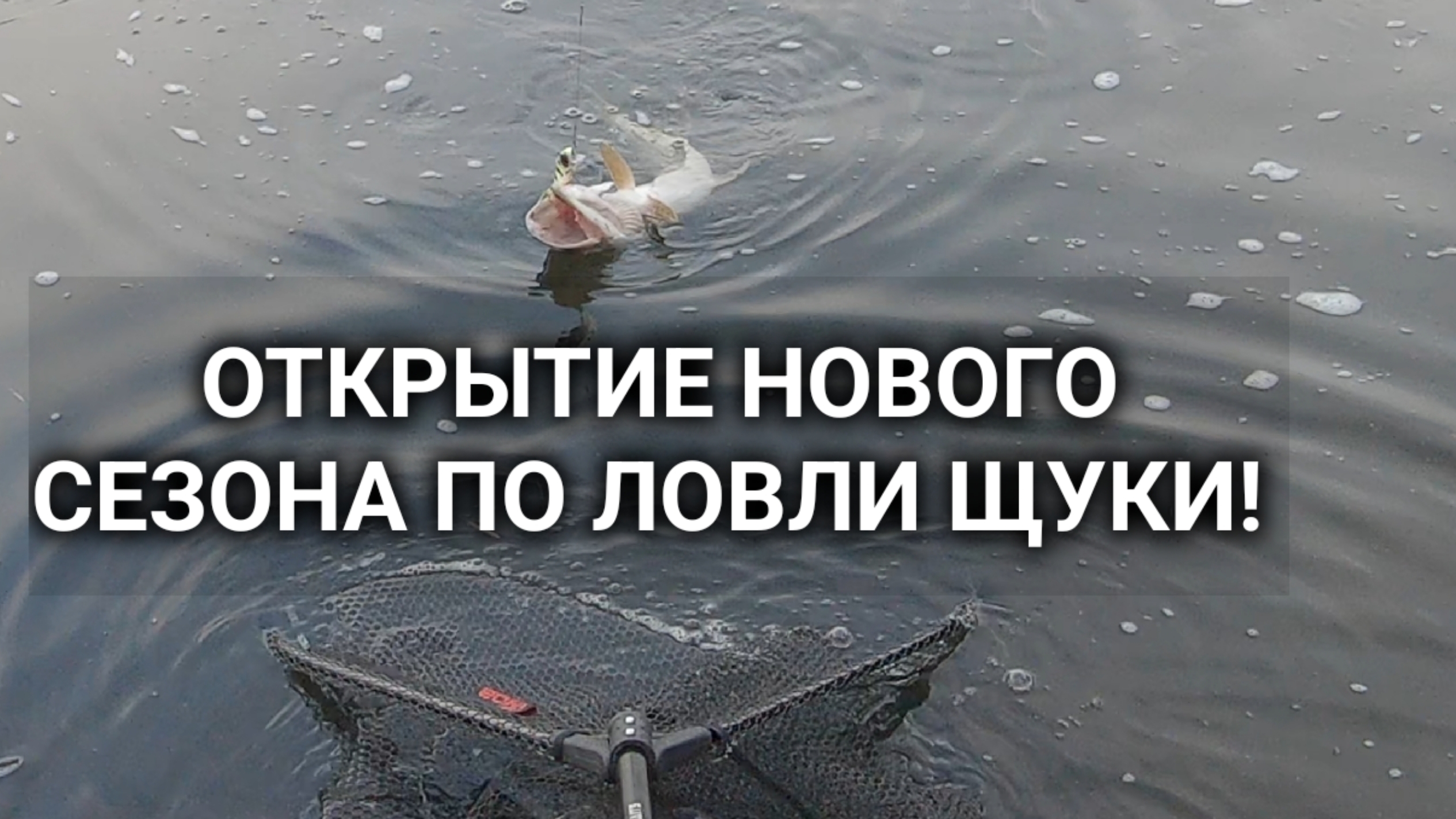 Открытие нового сезона по спиннингу 2026! Ловля щуки в Январе на воблеры, где, и как её поймать?! смотреть онлайн