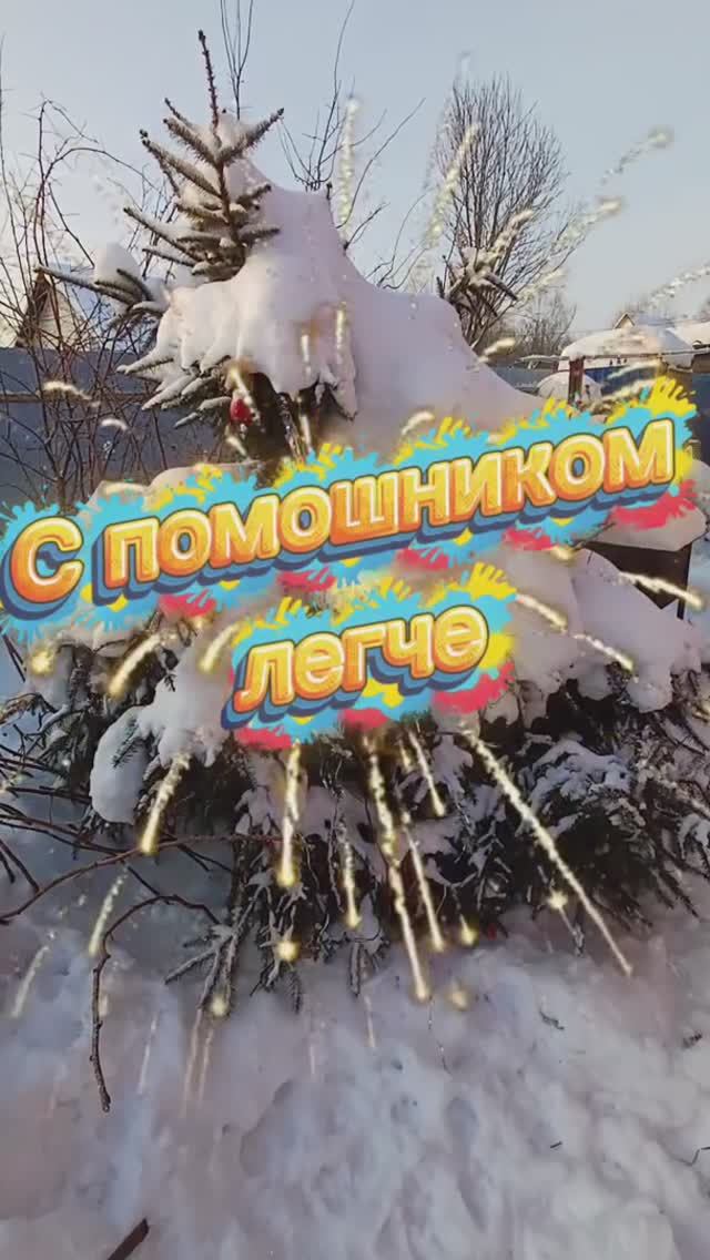 С лайкой весело 🐕😉