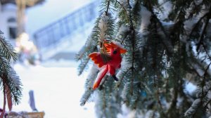 "Волшебная елочка-2026" (награждение участников в Успенском монастыре Новомосковска)