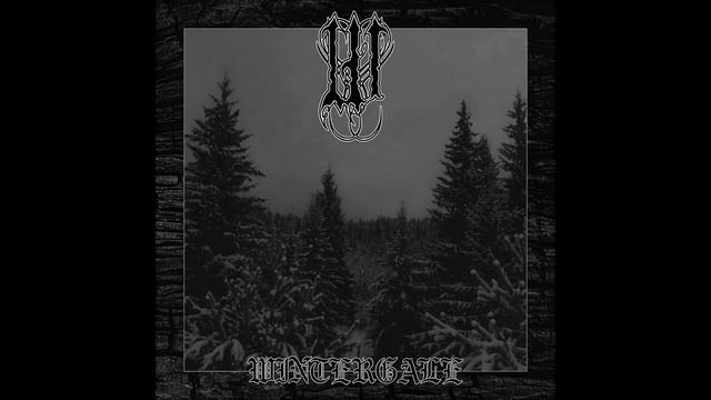 Wintaar - Winterlight (Part II)