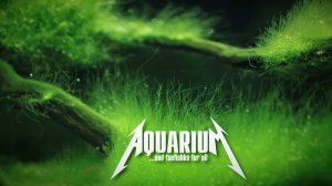 Акваскейп аля «Нитчатка стаил»