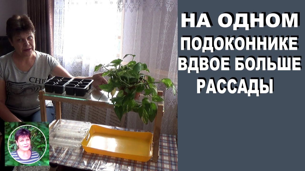 Как самому сделать полочку для рассады на подоконнике. Вместительная двухярусная полка для рассады смотреть онлайн