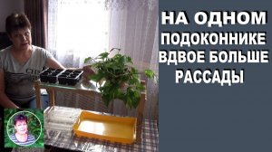 Как самому сделать полочку для рассады на подоконнике. Вместительная двухярусная полка для рассады