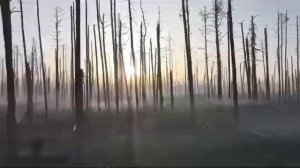 Серебрянское лесничество -это ад на земле", — говорят солдаты.