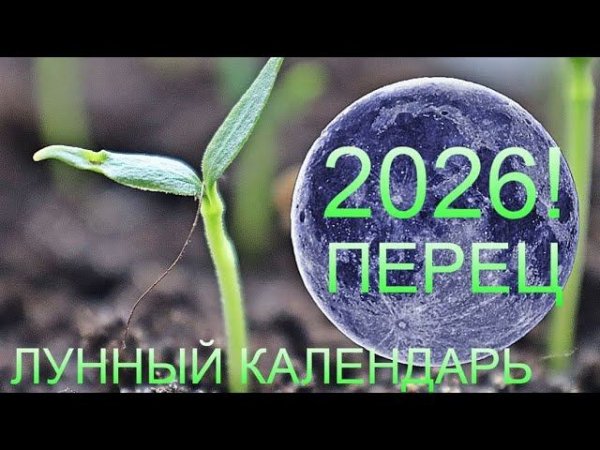 Самый точный лунный календарь на посадку рассады перца в 26 году! Январь, февраль, март и апрель!