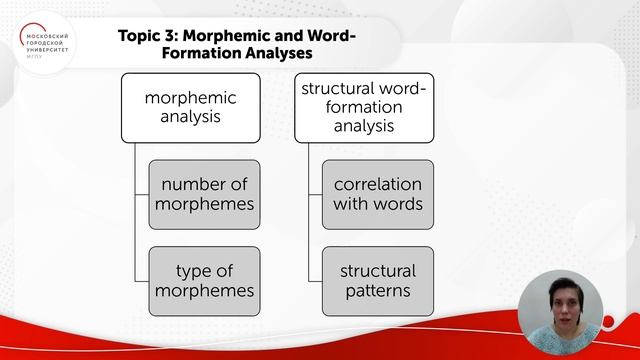 Понятие морфемы и типы морфем Ч.3 смотреть онлайн