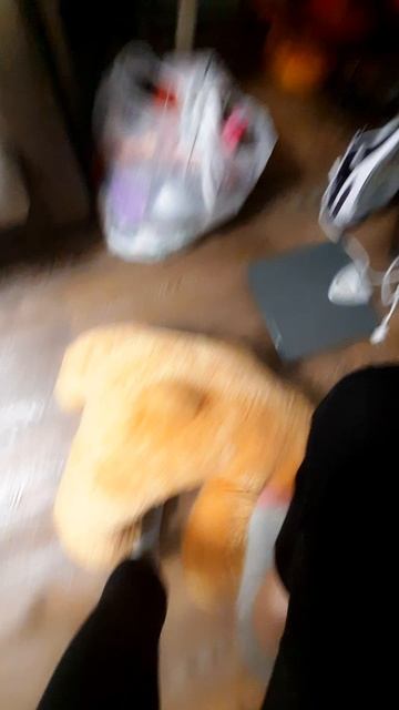 1000019133.mp4 смотреть онлайн