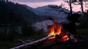 Дон Дикерман. Не впускай свиней. глава 5